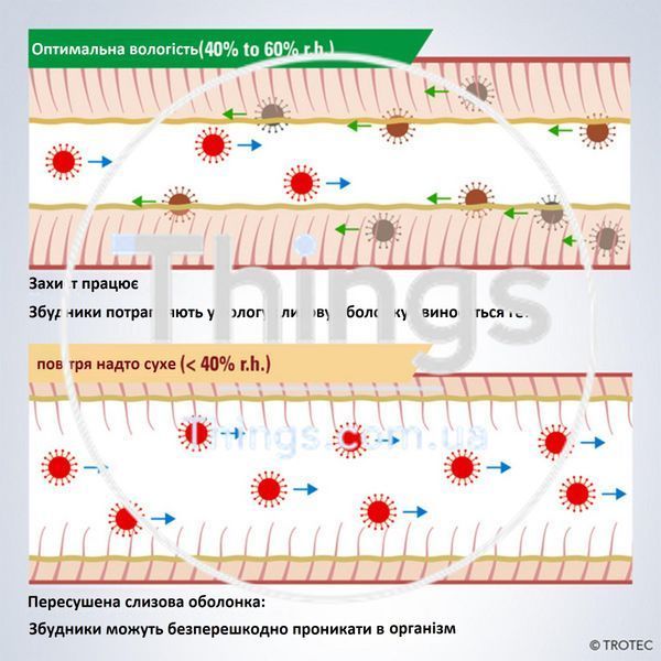 Увлажнитель воздуха ультразвуковой Trotec B 2 E Black DM-00486 фото