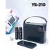 Bluetooth Speaker & 2 Microphones &mdash; YS-210 К2-000078979 фото 4